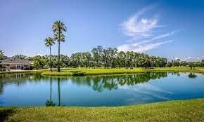 Discover the Perks of Living in Orange Park, FL: A Hidden Gem in Northeast Florida